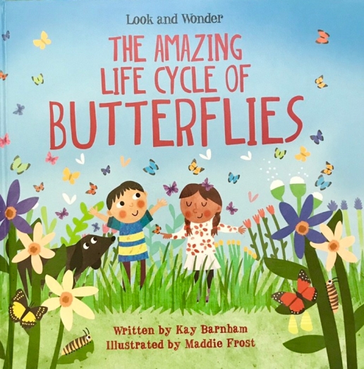 The Amazing Life Cycle of Butterflies by Kay Barnham, illustrated by Maddie Frost